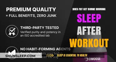 Does Fat Burn Overnight Post-Workout? Unlocking Sleep's Metabolic Secrets