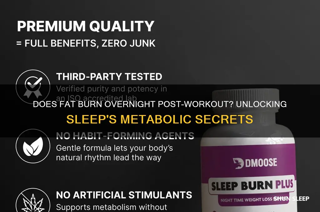 does fat get burne dduring sleep after workout