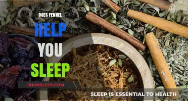 Fennel for Better Sleep: Unlocking Natural Remedies for Restful Nights