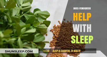 Fenugreek for Sleep: Natural Remedy or Myth?