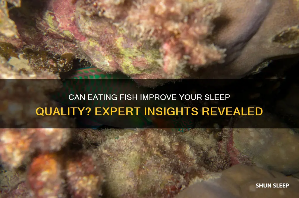 does fish help you sleep