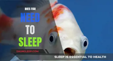 Fish and Sleep: Do They Need It?