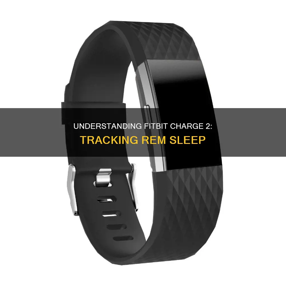 does fitbit charge 2 show rem sleep