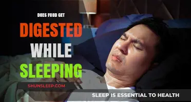 Does Your Body Digest Food While You Sleep? The Truth Revealed