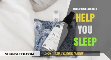 Fresh Lavender for Sleep: Unlocking Calm Nights and Restful Dreams