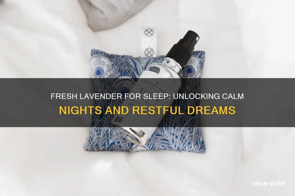 does fresh lavender help you sleep