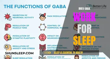 GABA and Sleep: Does It Really Work?