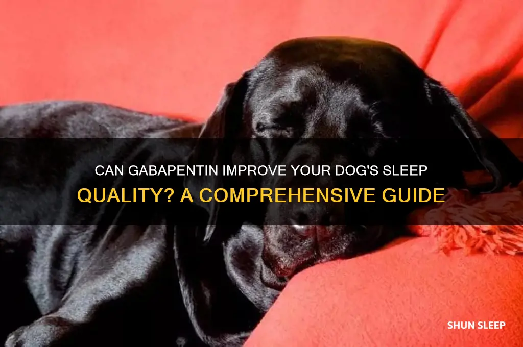 does gabapentin help dogs sleep