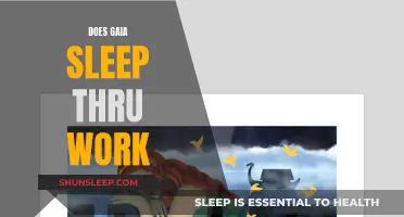 Gaia's Sleep: Work-Life Balance or Work Interruption?