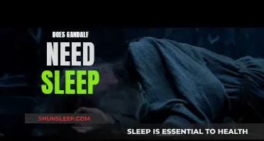 Gandalf's Rest: Does the Wizard Need Sleep?