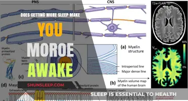 More Sleep, More Energy: Unraveling the Sleep-Wakefulness Connection