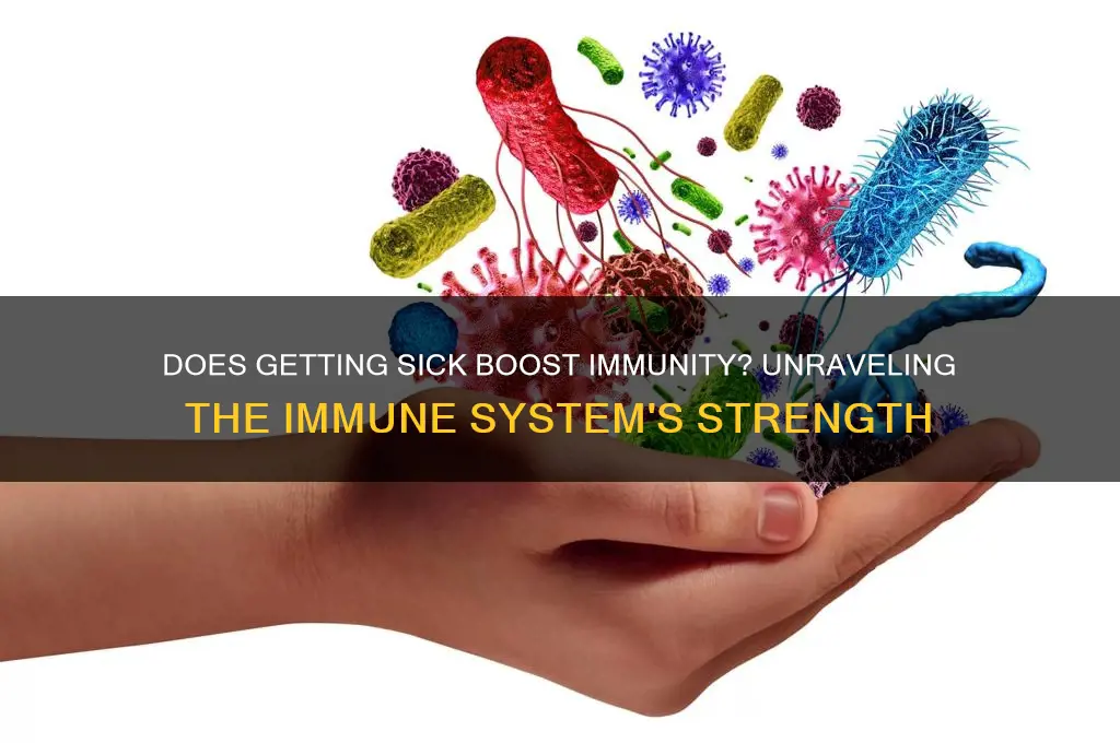 does getting sick make your immune system stronger