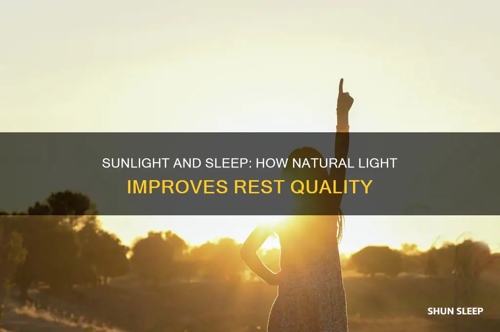 does getting sun help sleep