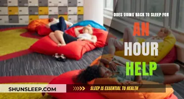 Boosting Productivity: The Power of a One-Hour Power Nap