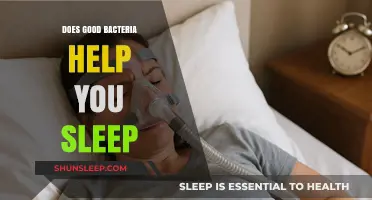 Good Bacteria and Sleep: Unlocking the Gut-Sleep Connection for Better Rest
