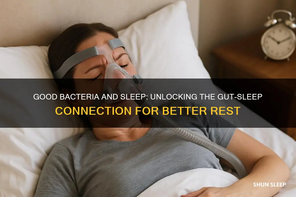 does good bacteria help you sleep