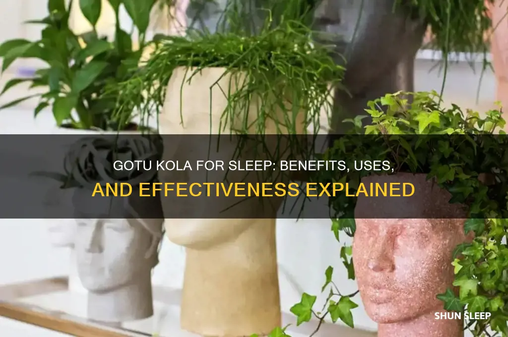 does gotu kola help with sleep