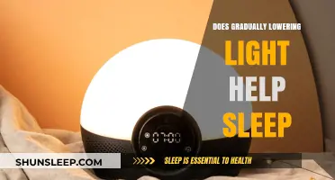 Gradual Light Reduction: Enhancing Sleep Quality and Circadian Rhythm