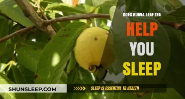Guava Leaf Tea for Sleep: Benefits, Uses, and Effectiveness