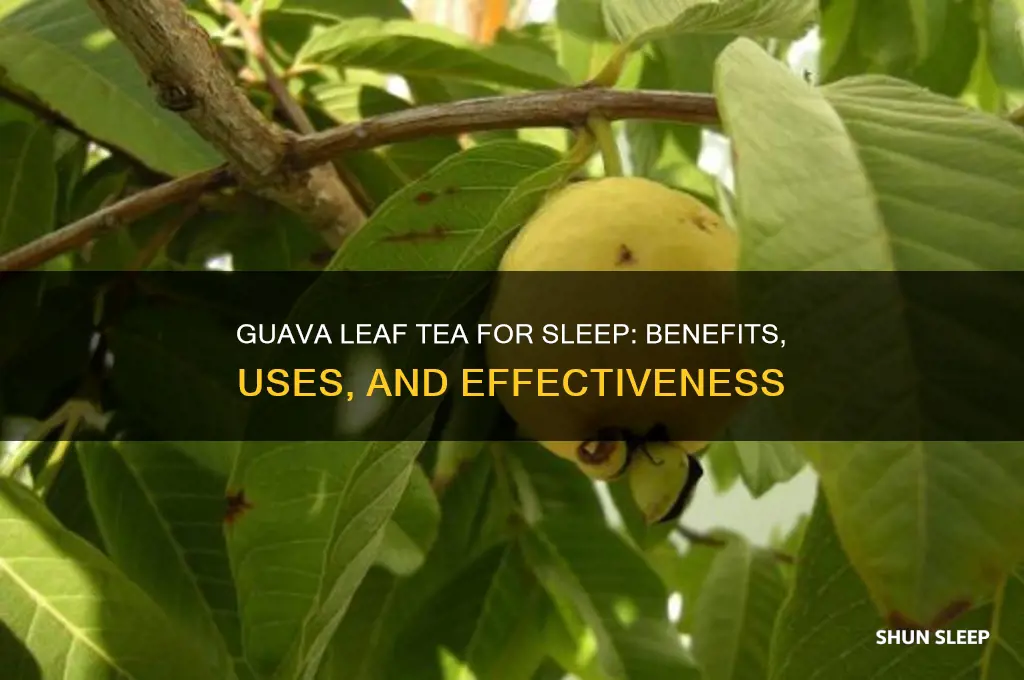 does guava leaf tea help you sleep