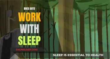 Guts and Sleep: Partners in Health