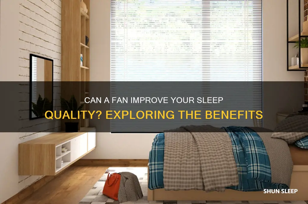 does having a fan on help you sleep