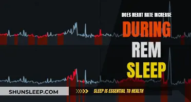 Heart Rate and REM Sleep: A Complex Relationship