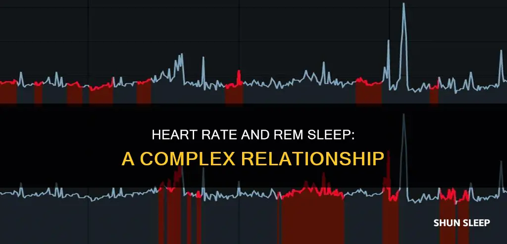 does heart rate increase during rem sleep