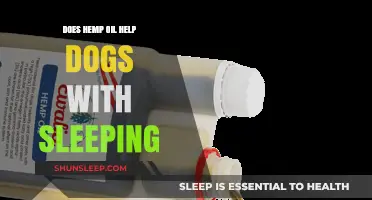 Hemp Oil for Dogs: Enhancing Sleep Quality and Relaxation