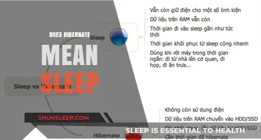 Hibernate vs Sleep: What's the Difference?