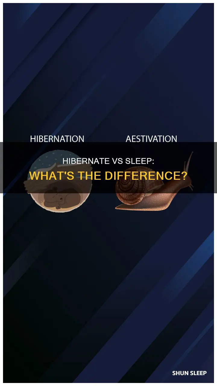does hibernate mean sleep