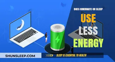 Hibernate or Sleep: Which Saves More Energy?