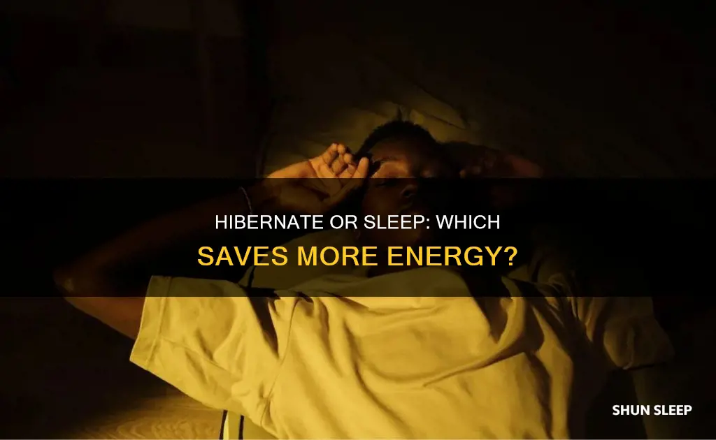 does hibernate or sleep use less energy