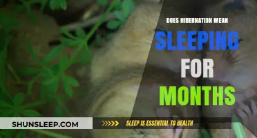 Hibernation: Months of Sleep or Something Else?