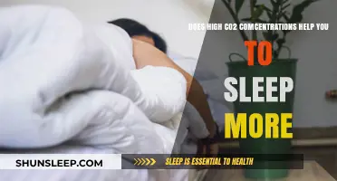 High CO2 Levels and Sleep: Do They Enhance Rest Quality?