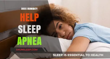 Humidity and Sleep Apnea: Can Moist Air Improve Breathing?