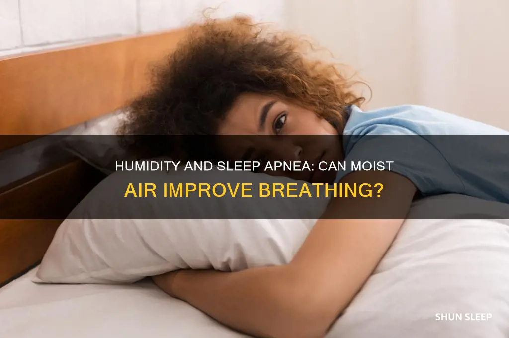 does humidity help sleep apnea