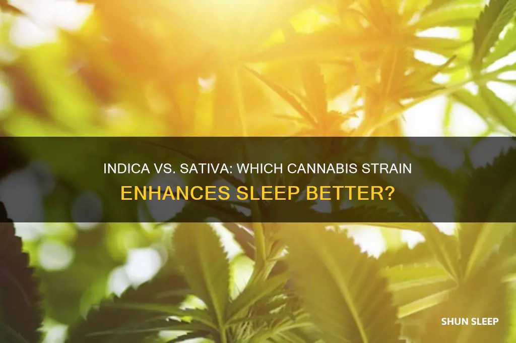 does indica or sativa help you sleep
