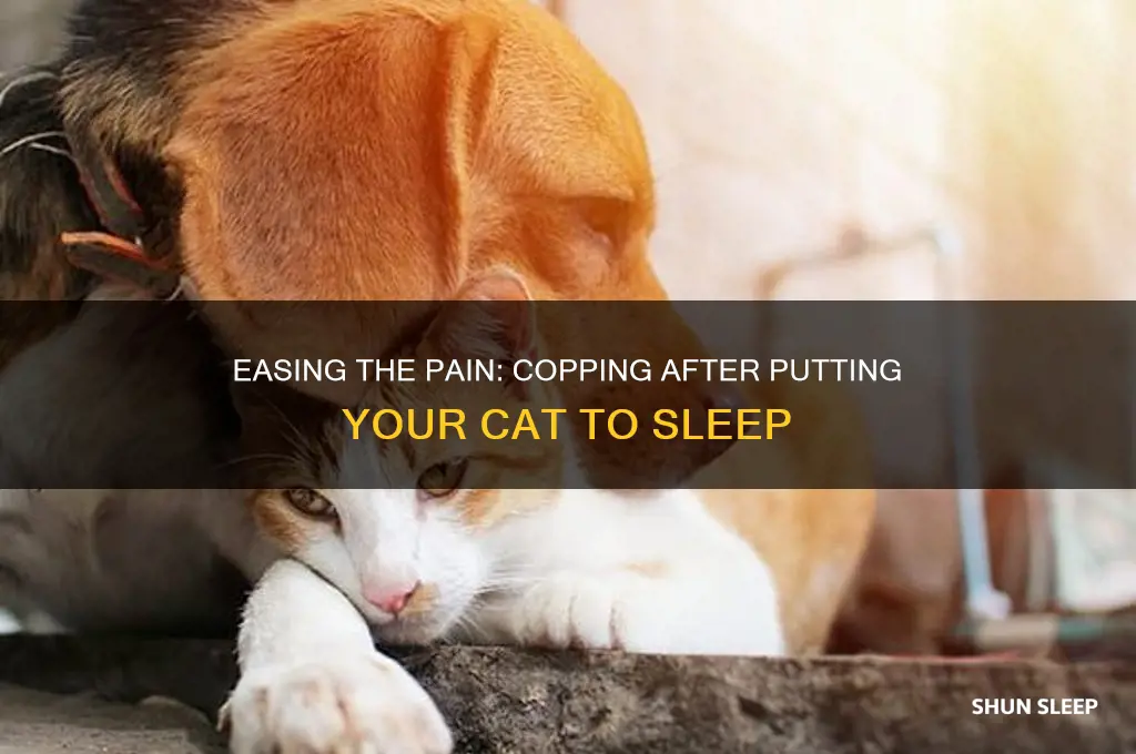 does it get easier after putting a cat to sleep