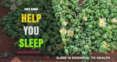 Can Kanna Improve Sleep Quality? Exploring Its Potential Benefits