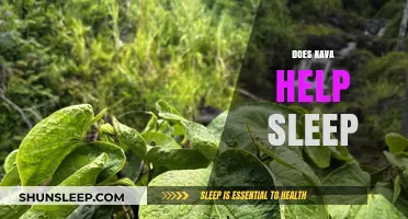 Kava for Sleep: Benefits, Risks, and How It Promotes Rest
