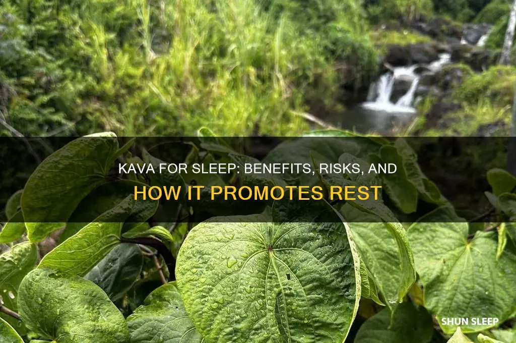 does kava help sleep