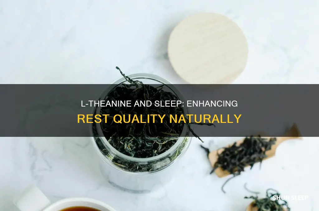 does l-theanine help with sleep