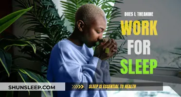 Theanine and Sleep: Does it Really Work?