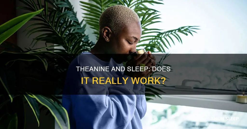 does l theanine work for sleep