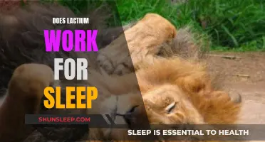 Lactium's Effectiveness for Sleep: What You Need to Know