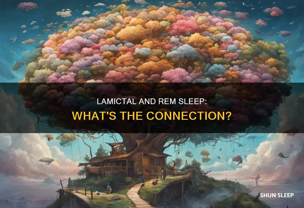 does lamictal interfere with rem sleep