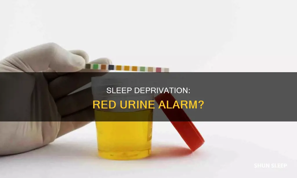 does late sleep use red urine