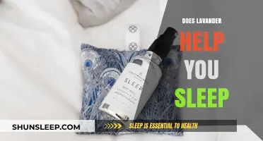 Lavender's Soothing Power: Can It Enhance Your Sleep Quality?