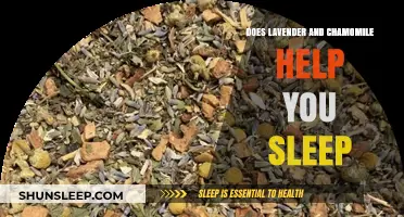 Lavender and Chamomile: Natural Remedies for Better Sleep?